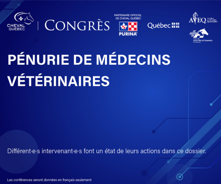 Pénurie des médecins vétérinaires - États des lieux 2024